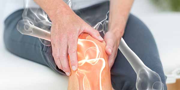 Knee Joint Research Study on Osteoarthritis Knee Joint Research Study on Osteoarthritis