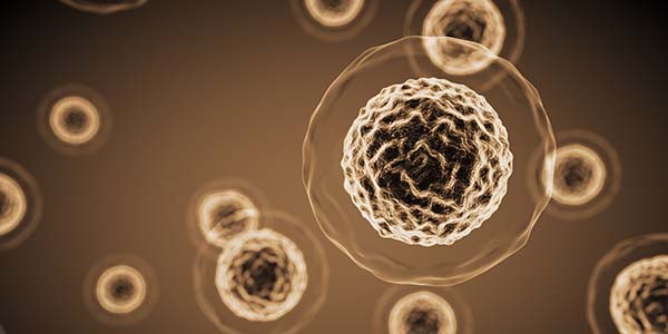 Low-Level Laser Effect on Mesenchymal Regenerative Medicines