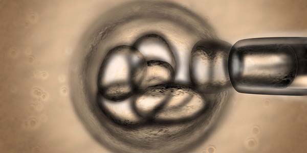 Regenerative Medicine Research Regenerative Medicine Research