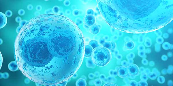 prolotherapy and lll for pain management prolotherapy and lll for pain management