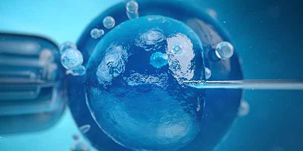 Knee Osteoarthritis Treatment Research Knee Osteoarthritis Treatment Research